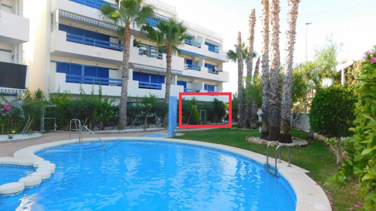 Apartment Coral House - La Calma - - Big Terrace & 4 Swimming Pools.